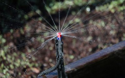 How an Irrigation Management Company Can Help Reduce Costs