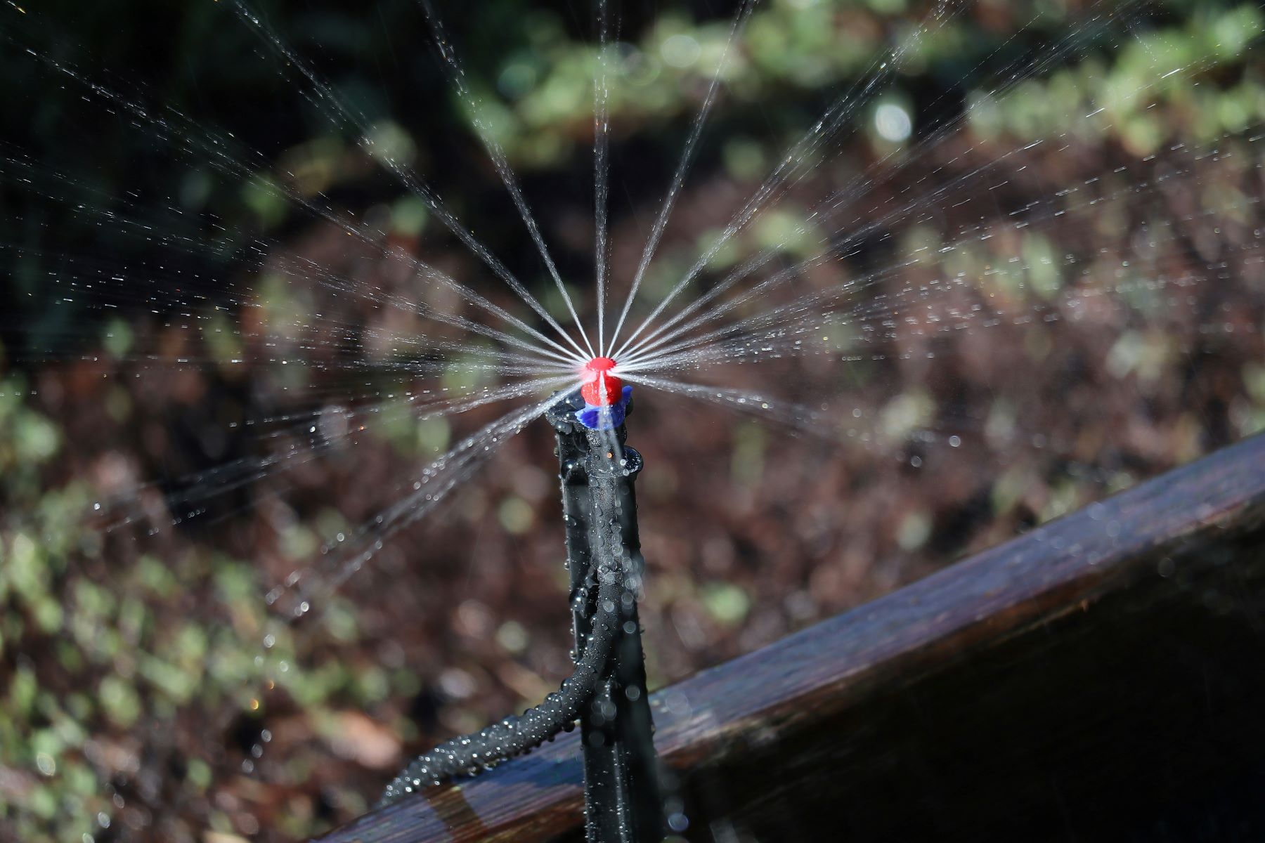 Professional Irrigation Company