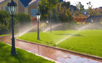 Signs Your Irrigation System Needs Replacement