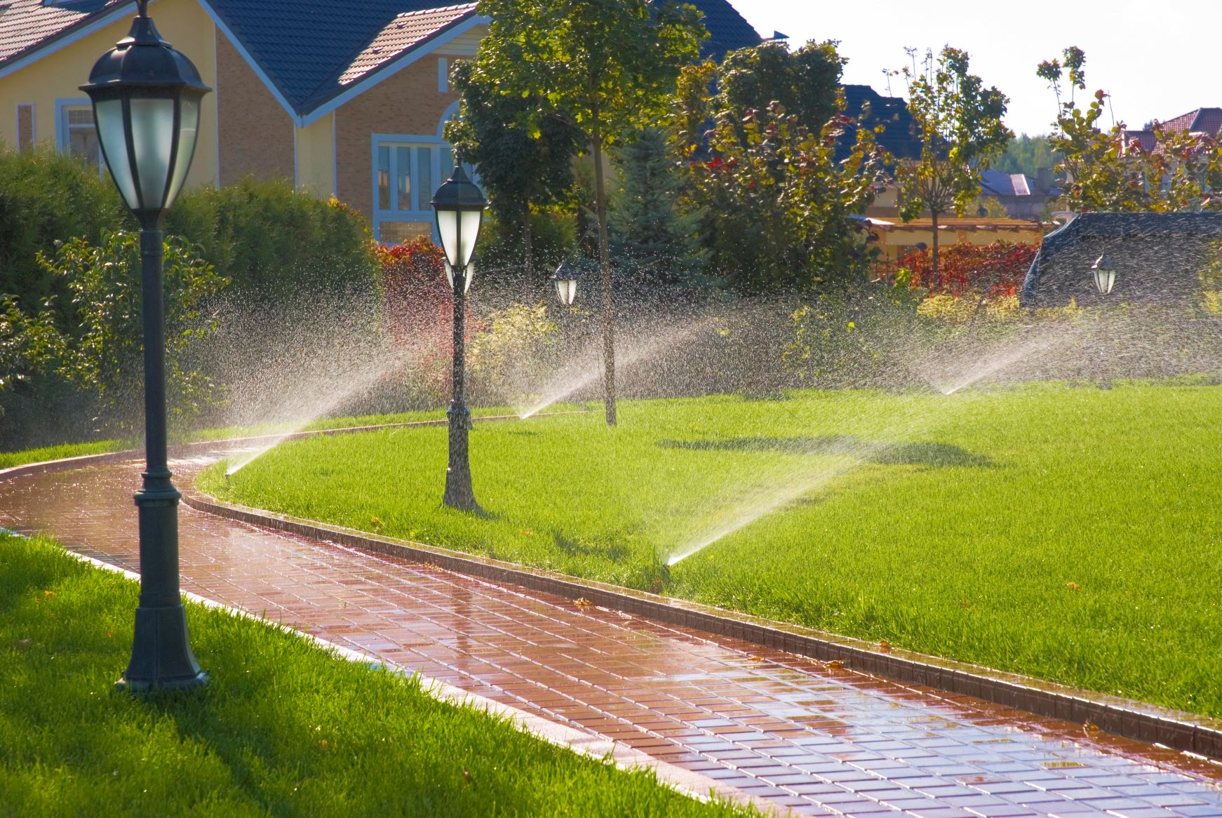 irrigation replacement San Diego