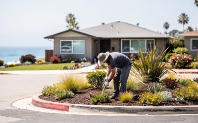 Bird Rock Landscaping Services | La Jolla Coastal Property Care