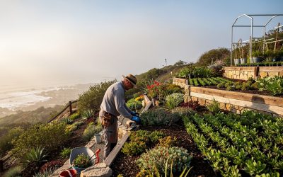 Encinitas Landscaping Services