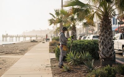 Oceanside Landscaping Services
