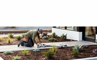 Solana Beach Landscaping Services