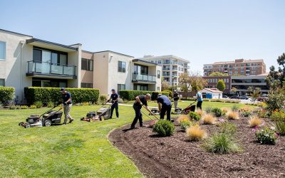 University City HOA Landscaping Services | San Diego