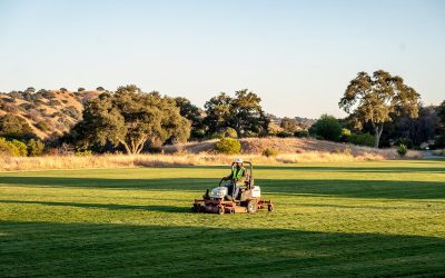 Vista Landscaping Services