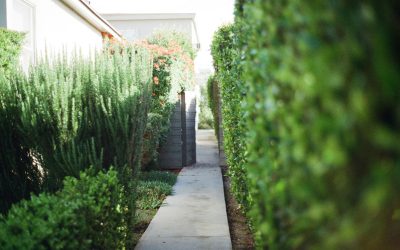 What Questions Should Your HOA Ask Before Hiring a Landscaping Company?