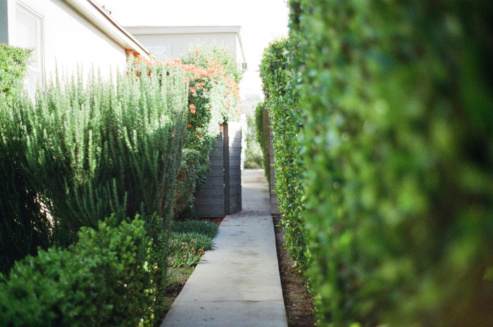 HOA Landscape Service San Diego