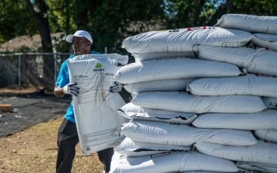 Why Property Management Companies Need Experienced Landscape Management